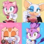 ~Sonic Super Squad~