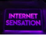 INTERNET SENSATION