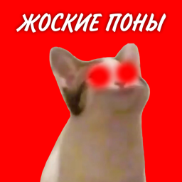ЖОСКИЕ ПОНЫ