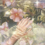 - Lovely Bxsket -