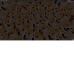 doge boi's