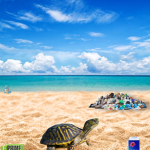 The Turtle Stranglers