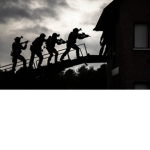 NL | Nijmeegse Dienst Speciale Interventies