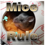 A mouse group :3