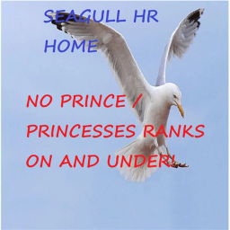 HR home / Hotel, offices for Seagulls United