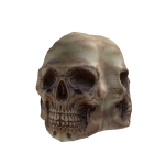 004 Skull