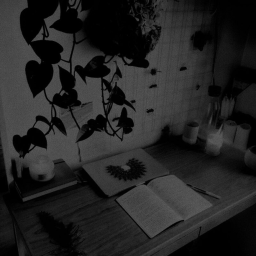aesthetic ♡...