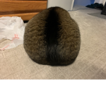 Egghead Association