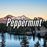 Peppermint Fan Group
