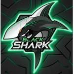 Group shark Indonesia