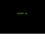 Lizard co.