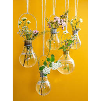 𝙸𝚗𝚜𝚒𝚍𝚎