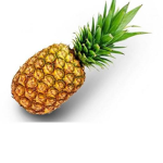 Pineapple-Team