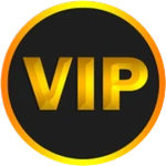 👑VIP👑 (Permanent)