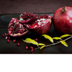 pomegranate owl