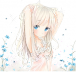 Softie Clothing Group