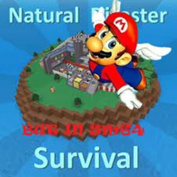 Natural disasters survival but is in sm64 icon