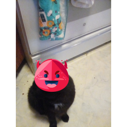 Cat demon home