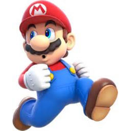 The SuperMarioEvan House