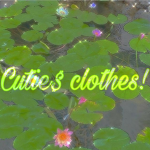 Cutie$ clothes!