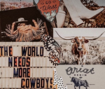~*snakes n’ spurs*~