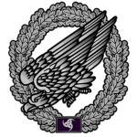 2nd. SF-Paratrooper Battalion "Vordo"