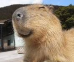 Capybara's Teritory