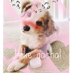 |~gacha wholesome|~