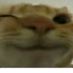 4Ly