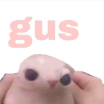 The NANI Commity