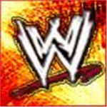 The WWE followers
