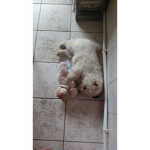 awhmarine :)