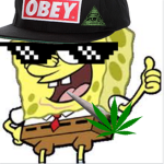 MLG Group For MLG People