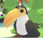 Toucan Side/squad