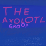 THE AXOLOTL GROOP