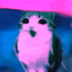 giru's ugc