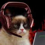 gamer pet