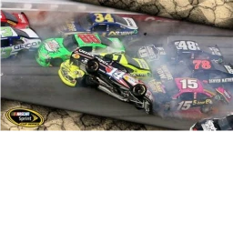 2012 Talladega icon