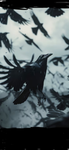 Black Bird1234