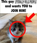 kittydonia