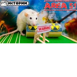 rat in area 51 icon