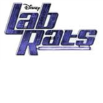 Team lab rats