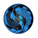 YANG KAI DOJO