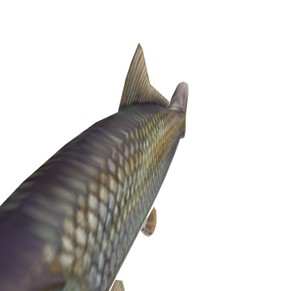 Fish StarterCharacter