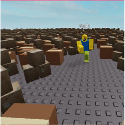 box land