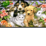 The animalia