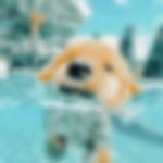 - advertising pups -