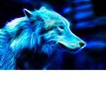 BlueWolfTeam