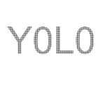 YouOnlyLiveOnce