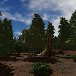 realistic forest